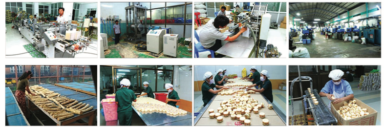 Manufacturing Facilities